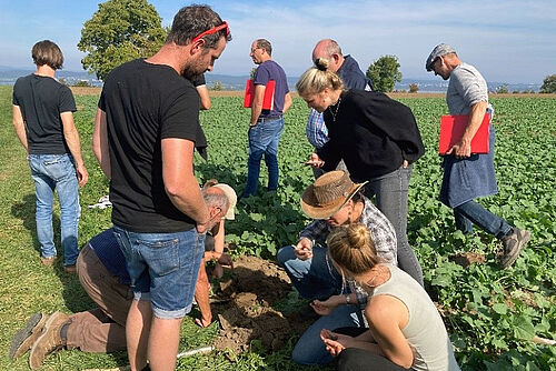 Frauen und Männder schauen sich Bodenproben auf dem Feld an.