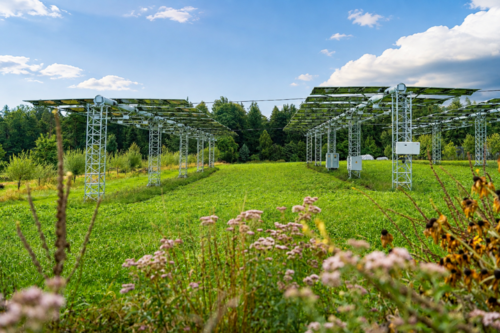 Agri-Photovoltaikanlage auf landwirtschaftlicher Nutzfläche: Hoch aufgeständerte Solarmodule ermöglichen die gleichzeitige Produktion von Solarstrom und den Anbau von Kulturen auf derselben Fläche.