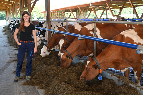 Eine Frau steht in einem Stall, rechts neben ihr eine Futterachse und einige Kühe am Fressen.
