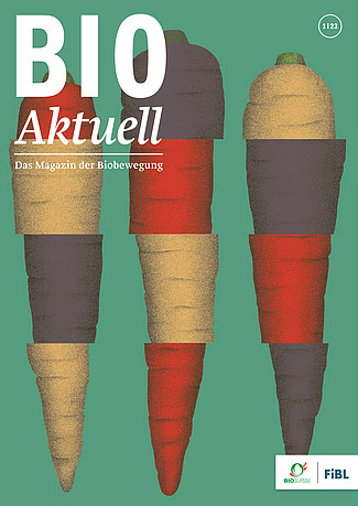 Titelseite Bioaktuell 1|2023: Illustration mit drei Karotten.