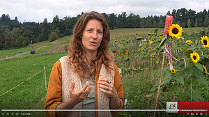 Von der Marktpräsenz über das Gemüseabo zum Hofladen bis Selbsterntegärten, in diesem Video werden die verschiedenen Modelle unter die Lupe genommen