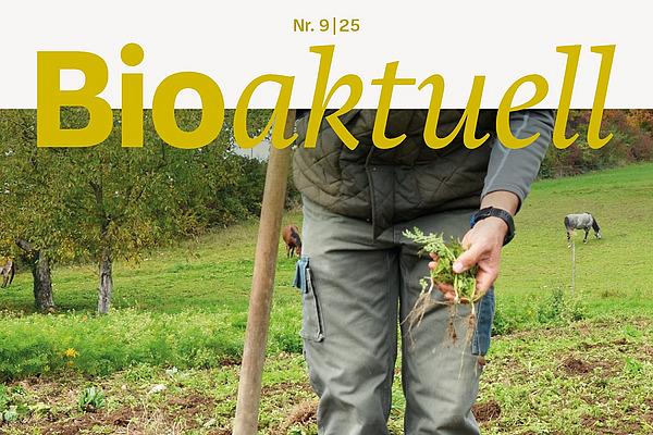 Titelseite Bioaktuell 9|25: Eine Person steht im Acker mit Blackenstecher.