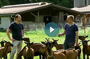 Zwei Männer stehen diskutierend in einer Ziegenherde