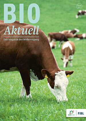 Titelseite Bioaktuell 2|2019; weidende Kühe