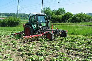 Kombination 6 m Hacke mit Striegel an Fendt Geräteträger.