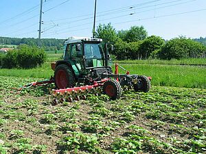 Kombination 6 m Hacke mit Striegel an Fendt Geräteträger.