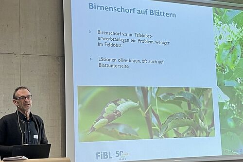 Ein Mann vor einer Powerpoint-Präsentation.