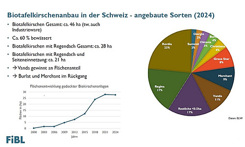 Eine Powerpointfolie. 