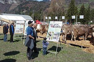 BesucherInnen beim Lesen der Posters an der Agrischa.