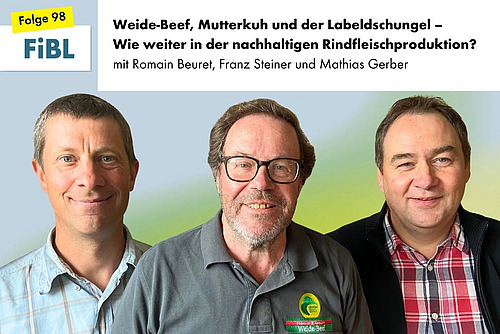 Drei Männer.