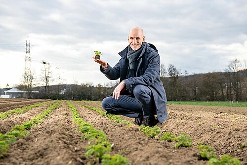 Der Geschäftsführer von Bio Suisse hält im Acker eine Pflanze in der Hand.
