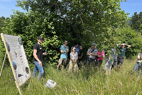 Marius Fischer steht neben einer Hecke und präsentiert einer Gruppe auf einer Stellwand die Bedeutung von Hecken für Wildbienen.