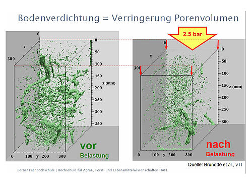 dreidimensional dargestelltes Porenvolumen nach Belastung
Grafik mit drei geraden Kurven (Radlast, Reifenvolumen, Kontaktfläche)