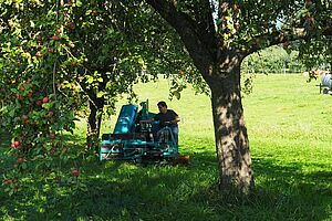 Mähen unter einem Hochstamm-Obstbaum