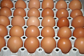 braune Eier in Eierkarton