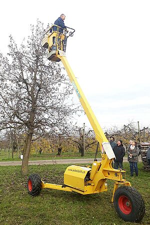 Mann auf Podest einer hydraulischen Leiter neben Hochstammobstbaum
