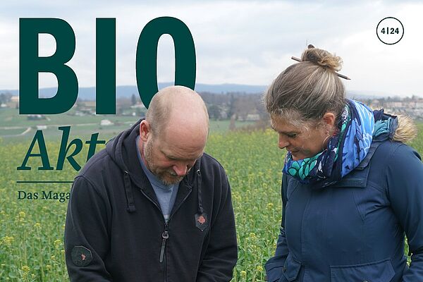 Titelseite Bioaktuell 4|24: Ein Mann und eine Frau stehen in einem Feld und sehen sich die Pflanzen genauer an.