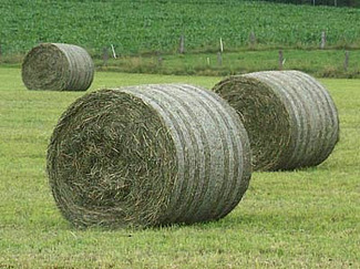 Heurndballen auf dem Feld