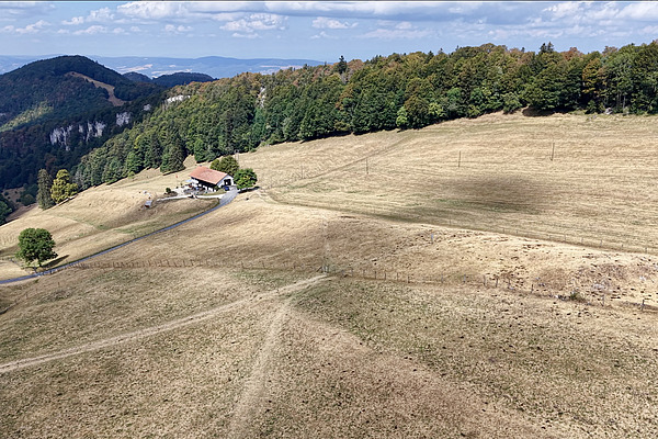 Im Hintergrund sind Berge zu sehen und ein Hofgebäude, die gesamte Graslandfläche davor ist beige-braun, der Wald im Hintergrund gelb-grün. 
