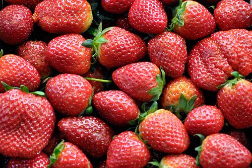 reife Erdbeeren