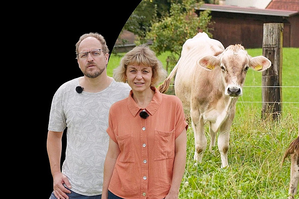 Ein Mann und eine Frau mit Kühen im Hintergrund.