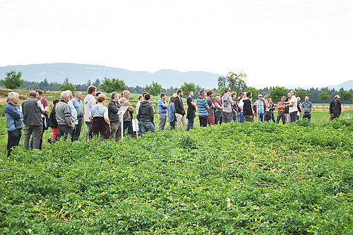 grosse Besuchergruppe neben Kartoffelfeld
