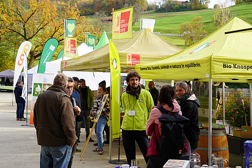 Eine Ausstellungsfläche mit Marktständen und Beachflags.