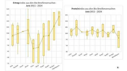 Folie mit dem Ertrags- und Proteinindex der Streifenversuche in des Juras.