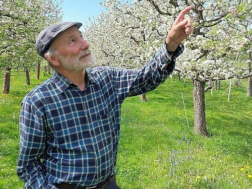 Ein Mann im Obstgarten zeigt auf einen Baum