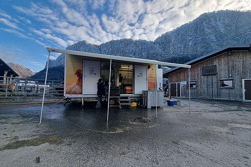 Blick auf den mobilen Schlachtanhänger.