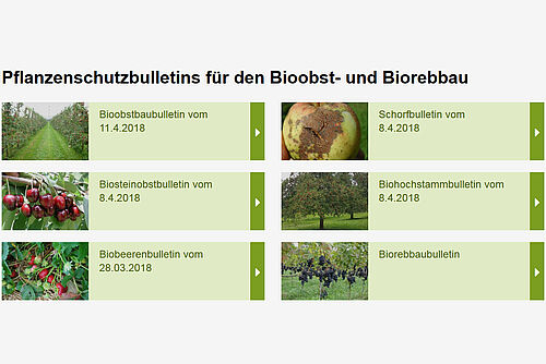 Screenshot der Übersichtsseite Bioobstbaubulletins