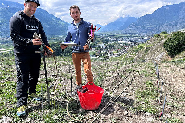 Zwei Männer in einem Weinberg mit einem Plastickessel und Werkzeug.