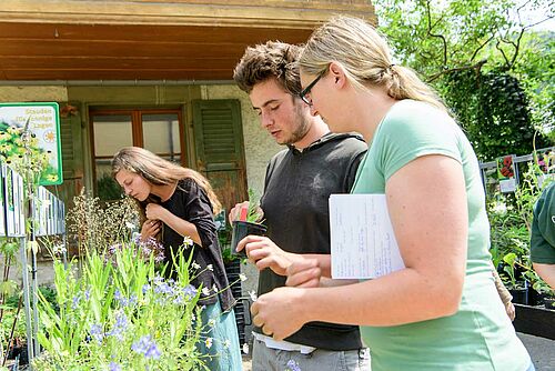 Drei Lernende in Garten neben Pflanzen