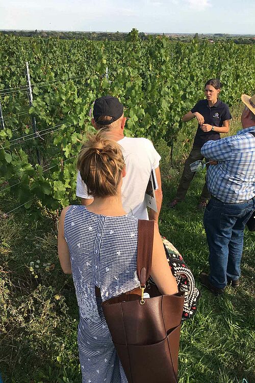 Gruppe von Personen vor einem Weinberg