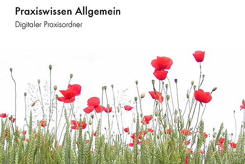 Cover: Praxiswissen Allgemein.