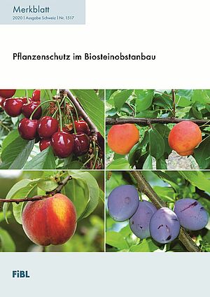 Titelseite Merkblatt mit vier Bildern von Kirschen, Aprikosen, Pfirsich und Zwetschgen
