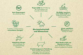 Grafik mit verschiedenen Symbolen