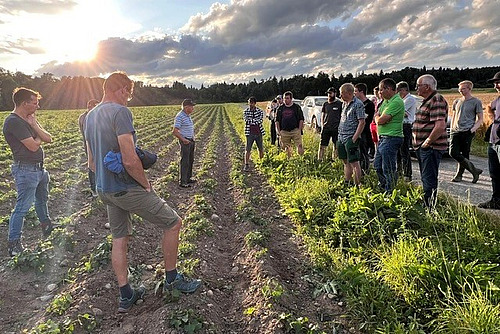 Eine Gruppe von Menschen auf einem Kartoffelfeld im Sonnenuntergang.