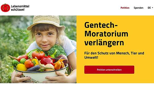 Ein Kind mit einem Korb voll Gemüse.
