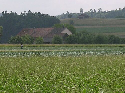 hohle Hand voll krümeliger Erde
Vordergrund: Kunstwiese, Mittelgrund: Gemüsekulturen, Hintergrund Bauernhof