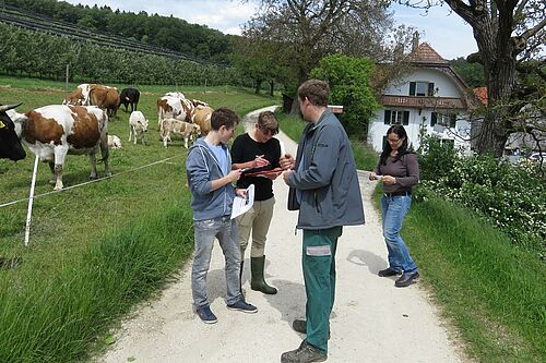 Landwirt mit jungen Leuten neben einer Kuhherde auf der Weide