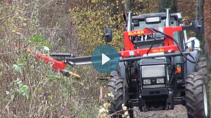 Maschine beim Schneiden einer Hecke