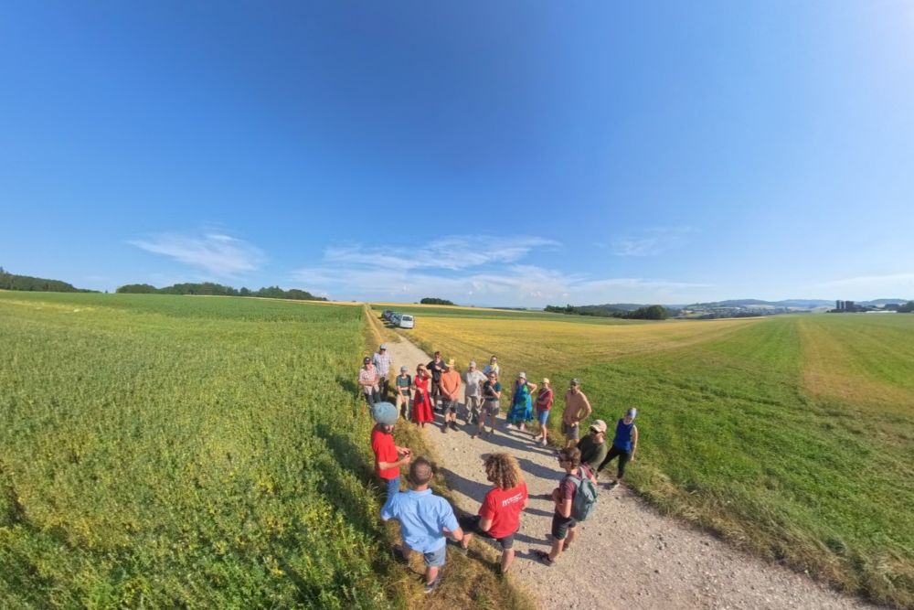 Luftaufnahme einer Gruppe Menschen, die auf einem Feldweg zwischen zwei Feldern stehen.