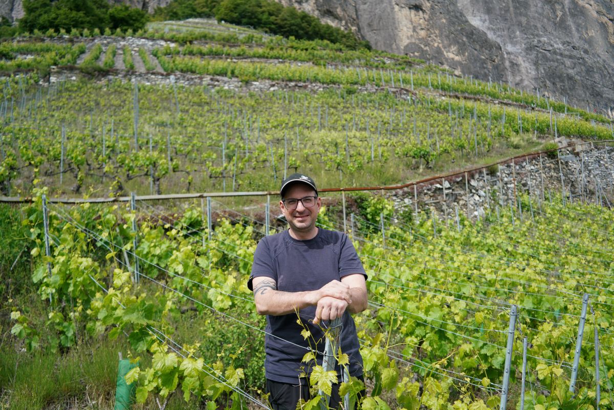 Portrait von Yann Comby in seinem Rebberg.