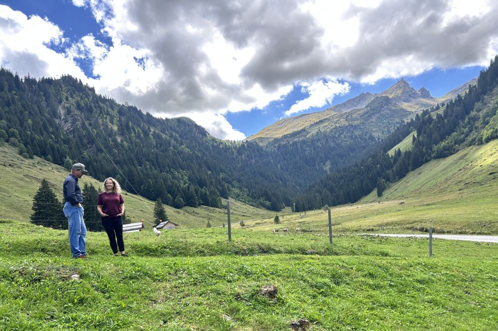 Alplandschaft im Torneresse-Tal.