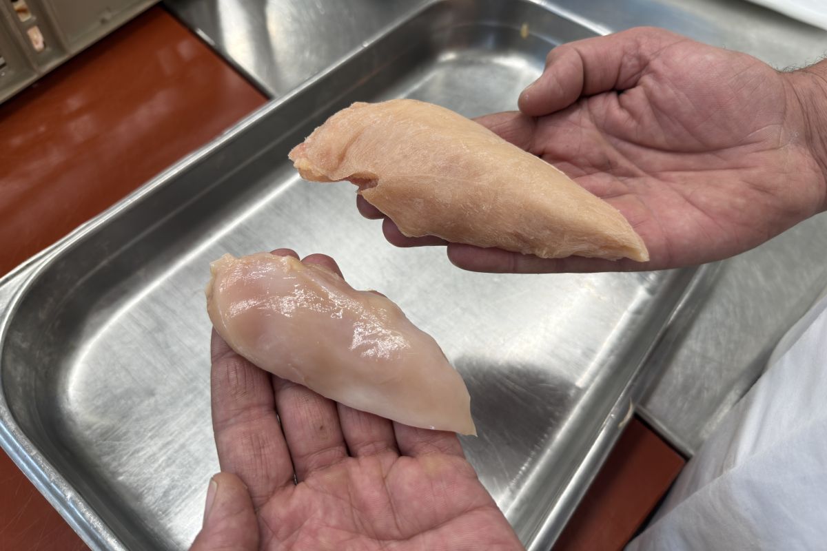 Eine Person hält zwei verschieden grosse Stücke Hühnerbrust, die Bruderhahnbrust ist kleiner als die Pouletbrust.