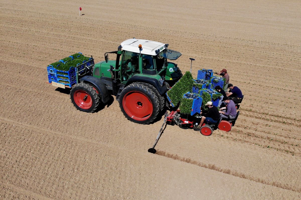 Traktor mit Anhänger auf dem Feld von oben