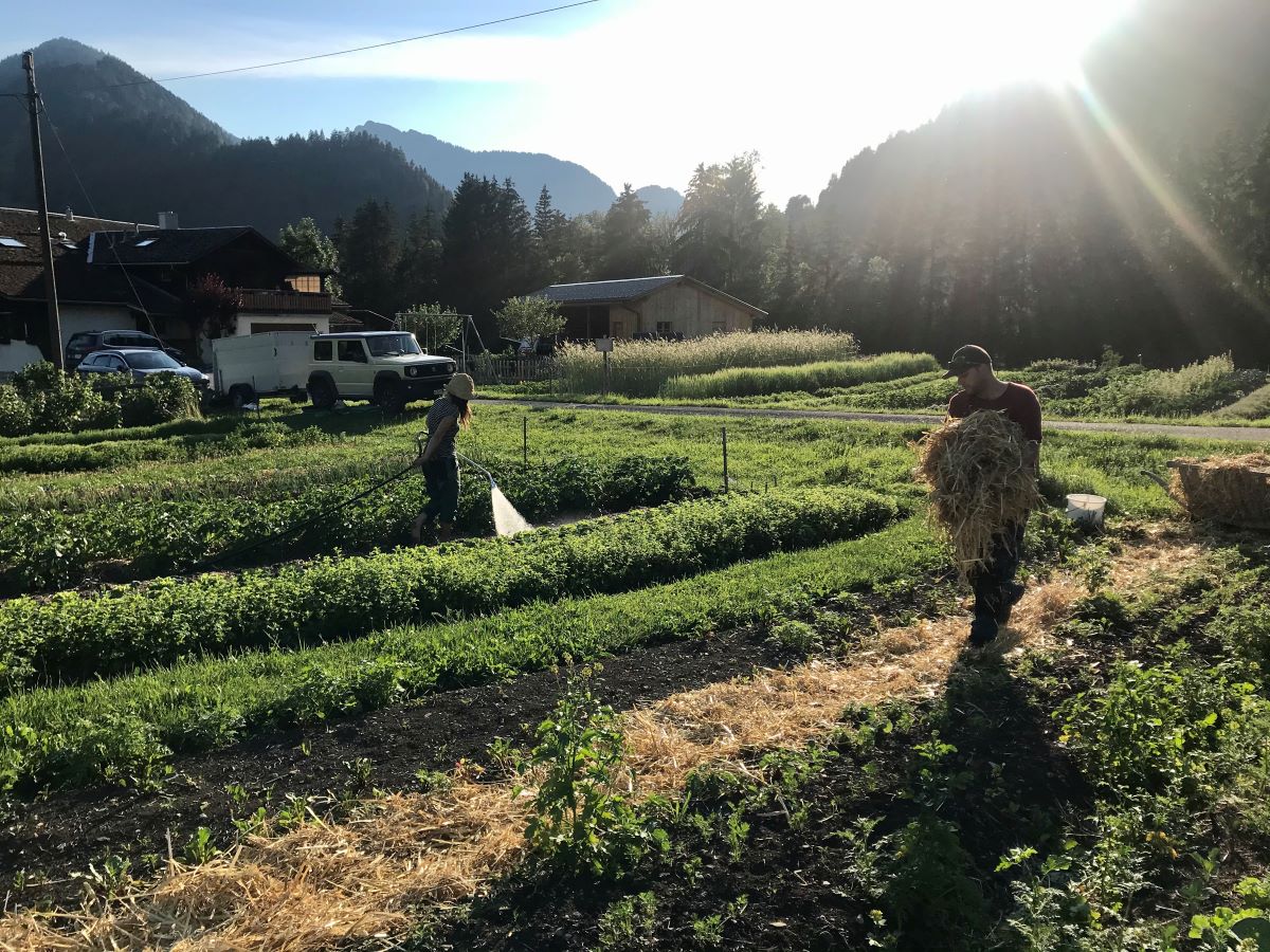 Permakultur in den Bergen