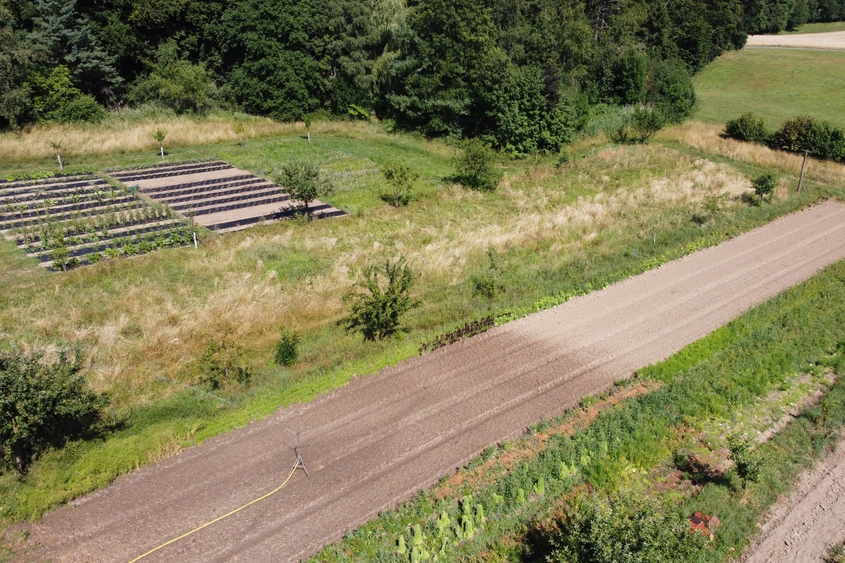 Auf einem Luftbild ist die Bewässerung eines großen Feldes mit einem Sprinkler zu sehen; daneben befinden sich Baumreihen und weitere, kleinere Felder. Der Sprinkler deckt nur einen Teil des Feldes ab.