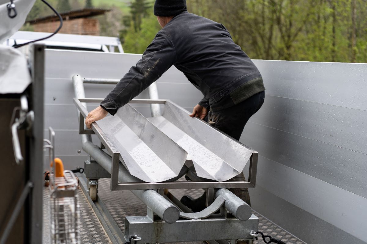 T-Trailer mit zusätzlicher Wanne für Schweine.